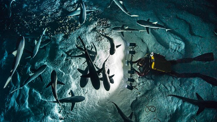 Blancpain, misión oceánica